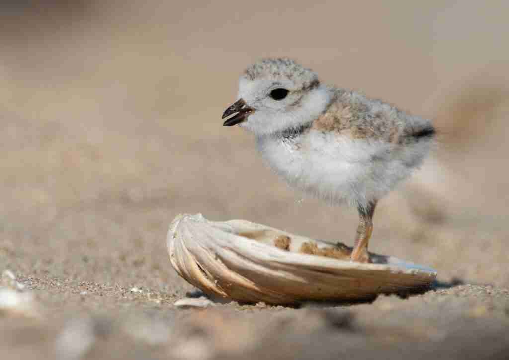 Quereinsteiger sind eine enorme Chance in Zeiten des Bewerbermangels