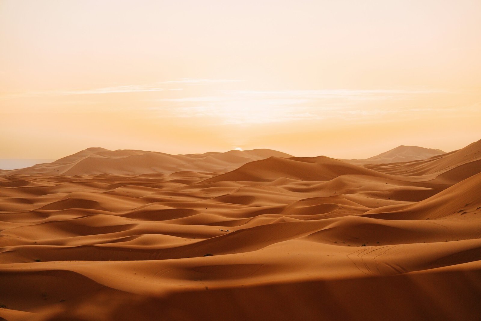 Eine Wüste als Symbolbild für Fachkräftemangel 2026